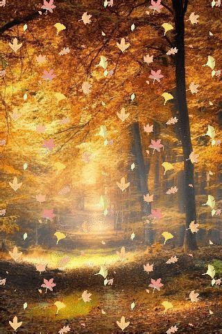 Природа анимация в 2024 г | Осенние картинки, Осенние виды, Осенний пейзаж
