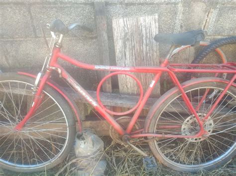 barra circular  brasil