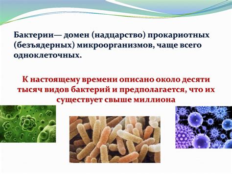 Бактерии. Питание и дыхание - презентация онлайн