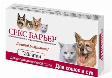 Сколько длится течка у собак мелких средних и крупных пород ...