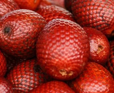 Benefícios do Buriti para saúde - Consumir buriti, Árvore da Vida