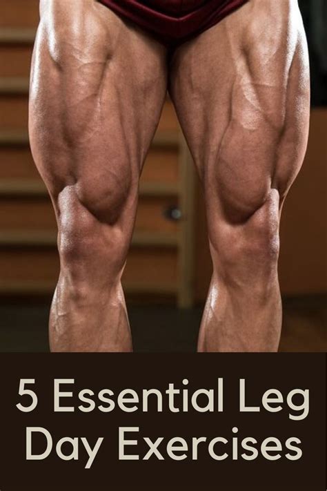 essential leg day exercises leg workouts  men leg strength