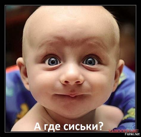 Фитоняшки и спортсменки