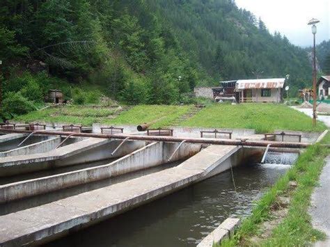 Рибарник за пъстърва