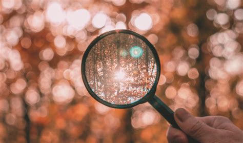 🔎 OBSERVE - gaining insight into what feeds our soul - Intention Inspired
