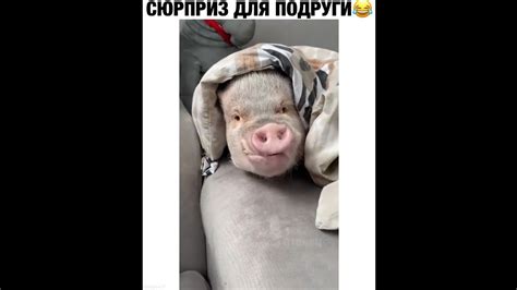 Подборка самых популярных роликов из Инстаграм. - YouTube