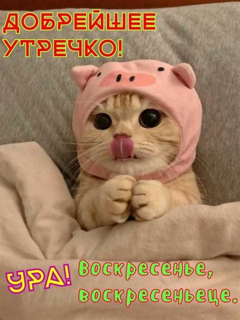 Открытка Ура! Воскресенье!