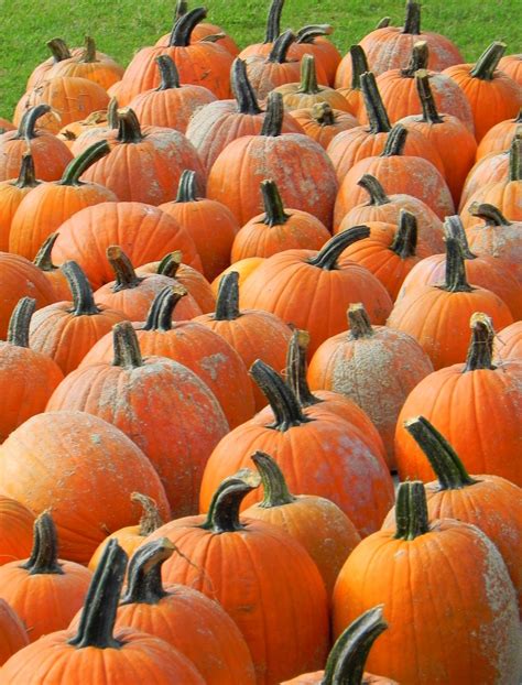 Hilton Garden Inn Roanoke Rapids - HGI Roanoke Rapids kicked off it's