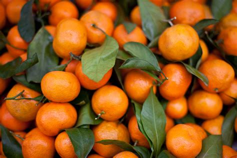 The 15 Types Of Tangerines (With Pictures)