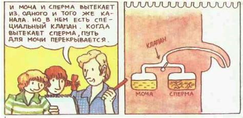 Детская книжка про ЭТО. Обсуждение на LiveInternet - Российский Сервис ...