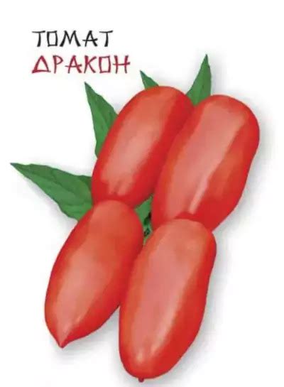 Томат «Дракон» — описание, фото и характеристики сорта