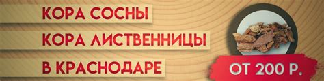 Кора сосны, кора лиственницы в Краснодаре | КОРА ИДЕАЛЬНЫЙ МАТЕРИАЛ ДЛЯ ...