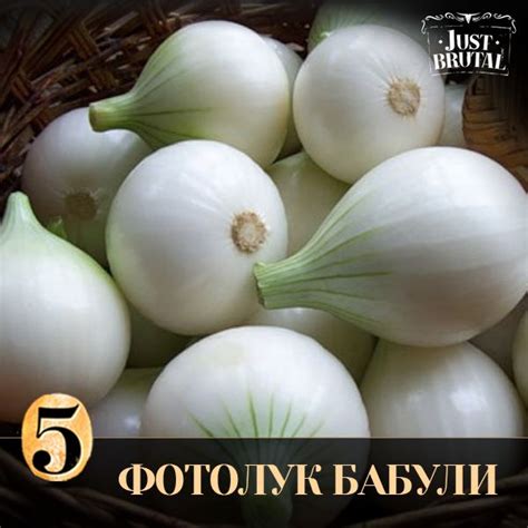 Так его представляет наша бабушка ;) | Садовый инвентарь, Посадка ...