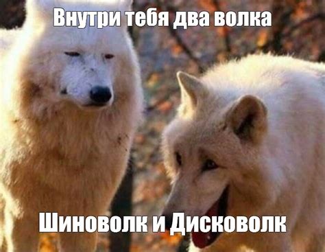Создать мем "волк, собака, смеющиеся волки" - Картинки - Meme-arsenal.com