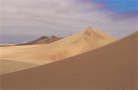 coastal desert photograph  sinclair stammersscience photo library