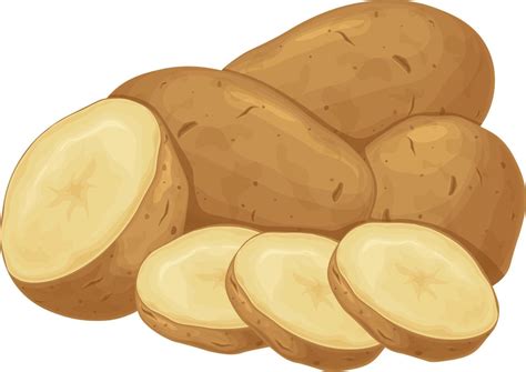 papa. tubérculos de patata. una verdura madura. producto vegetariano ...