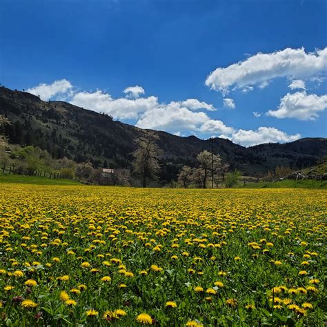 www.visit-mirdita.com