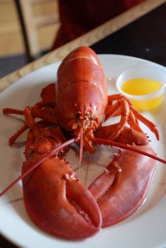 Red Lobster Stock Photo - Download Image Now - Animal Antenna, Boiled