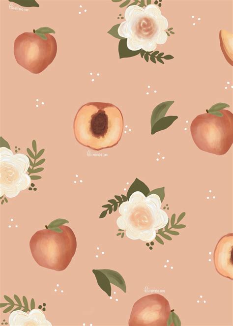 Peach Floral Wallpapers - Top Free Peach Floral Backgrounds