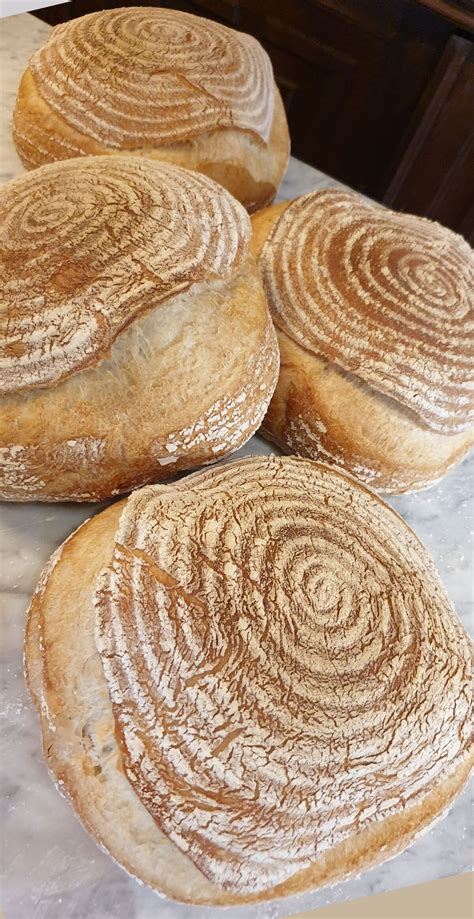 Turtle Bread – HOMEBAKING BLOG