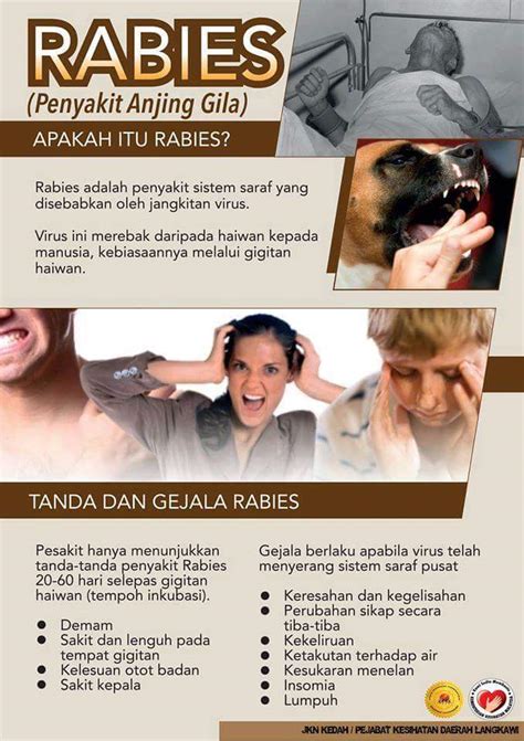 Waspada Penyakit Anjing Gila / Rabies - Drama Hidup FMR