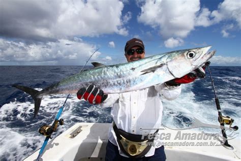 Licença de Pesca Amadora | Portal Pesca Amadora Esportiva