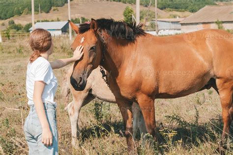 girl petting a horse in the meadow. Trust and tenderness of the girl to ...
