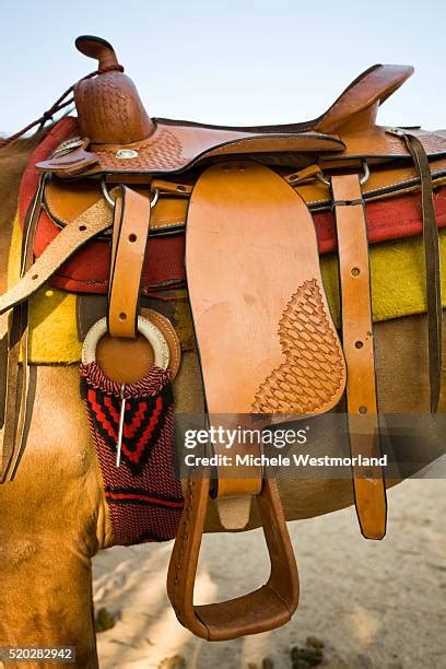 212 Mexican Horse Saddle Stock Photos, High-Res Pictures, and Images ...