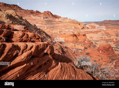The Wave is a stunning geological formation in the Paria Canyon ...