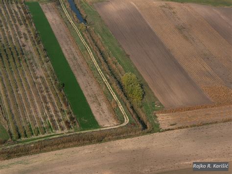 ekapija njive isplatljivije od stanova ocekuje se nagli skok cena