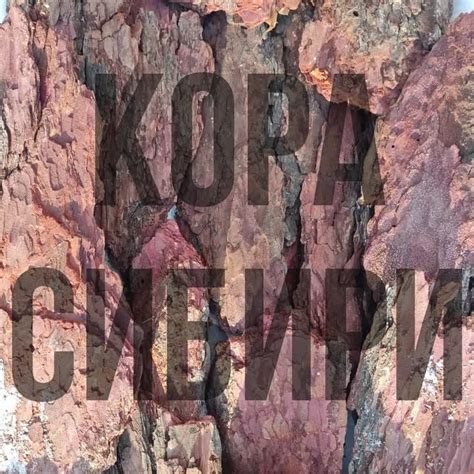 Кора Сибири| Мульча лиственницы| г. Красноярск