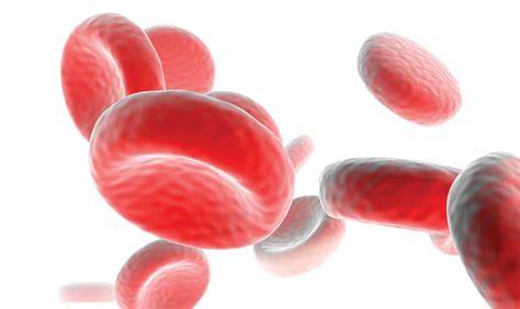 blood transfusion alfamed