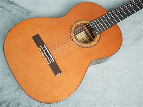Guitar