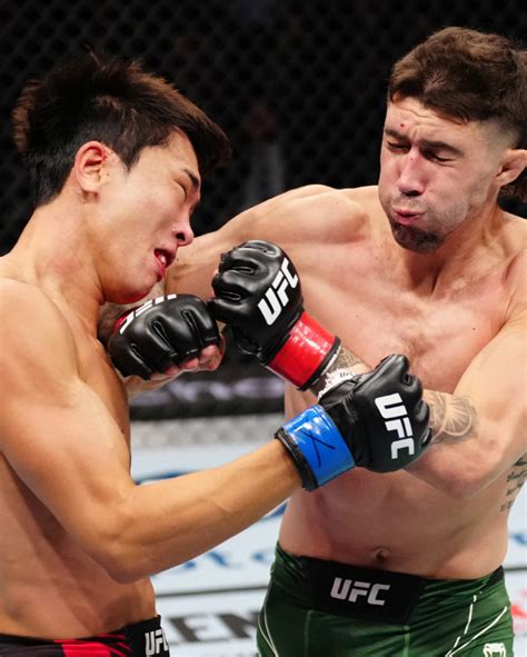 tko ufc