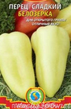 Перец Белозерка: описание сорта, фото, отзывы, урожайность