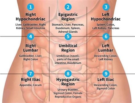 How To Do Self Abdominal Massage For Bloating And Constipation
