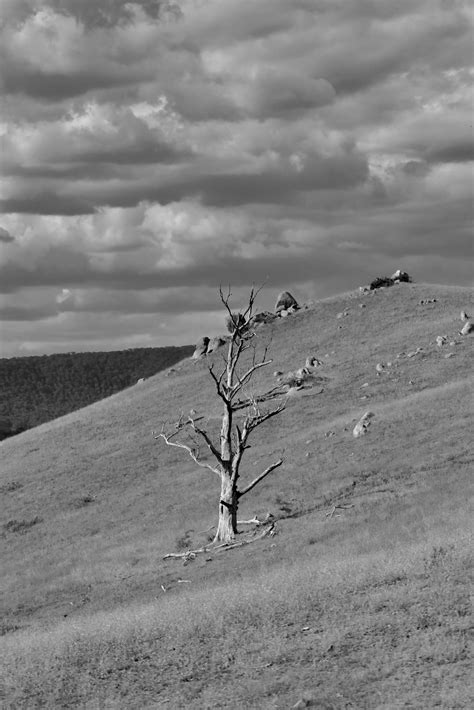 Nina Hartley Photos, Download The BEST Free Nina Hartley Stock Photos