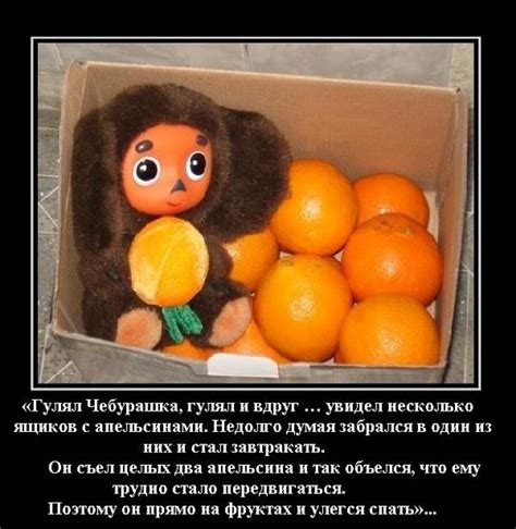 Ответы Mail: Зачем Чебурашка объелся столько апельсинов, что у него ...