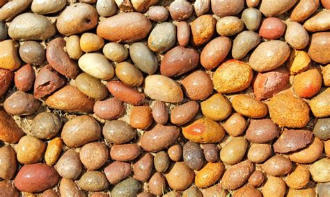 Wet Stone stock image. Image of hard, surface, rough - 14814971