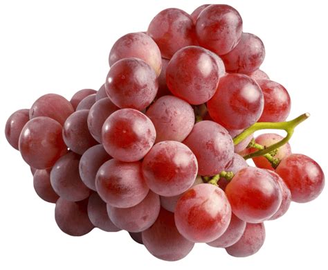Виноград Red Globe - Продукты и товары для дома. Свежие продукты - это ...