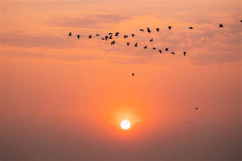 DIE 383,639 BESTEN BILDER, STOCK-FOTOS UND -VEKTORGRAFIKEN ZU „Sundown ...