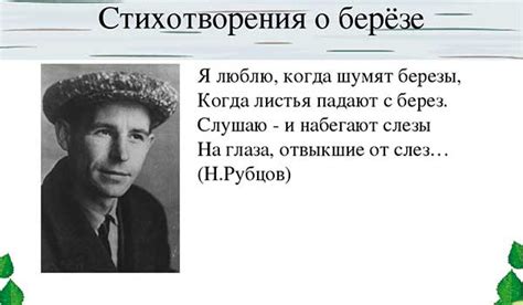 Стихи про березу - поэтическая подборка для детей