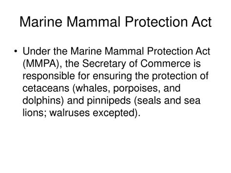 PPT - Marine Mammal Protection Act PowerPoint Presentation, free ...