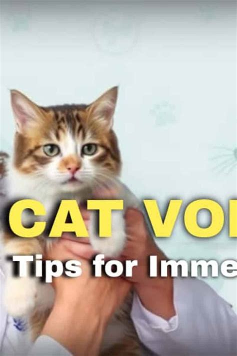 Cat Vomiting: Expert Tips for Immediate Action