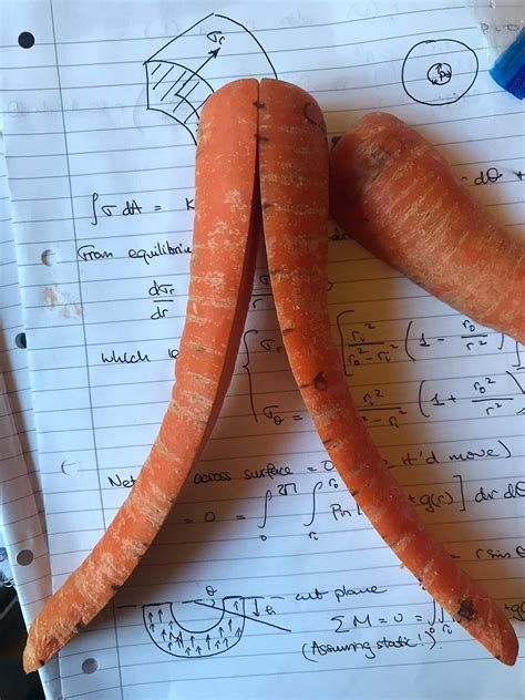 Scientists reveal the secret to stop cut carrots from curling - AOL
