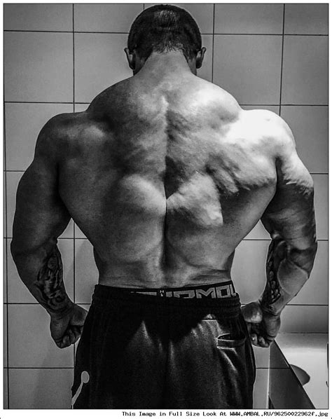 Владимир Яковлев (Vladimir Iacovlev), фотографии, биография ...
