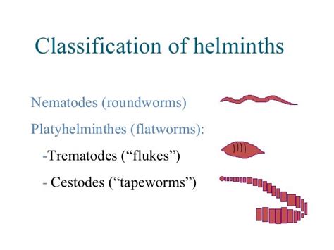 HELMINTHIASIS HELMINTHIC INFECTION
