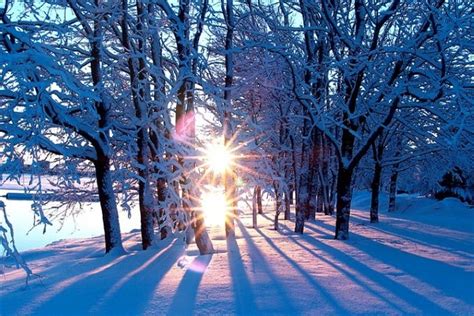 Февраль (Татьяна Игнатьева) / Стихи.ру