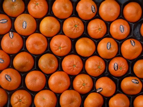 Nadorcott – Sowerbutts Greengrocers Ltd.