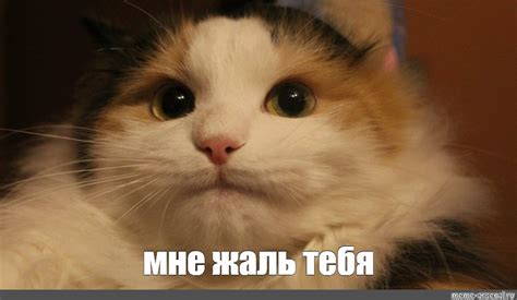 Meme: "мне жаль тебя" - All Templates - Meme-arsenal.com